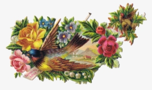 Vintage Bird Clipart - Vintage Birds Graphics #1012194