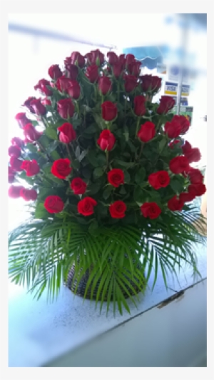 A-01 100 Rosas Rojas En Base Grande - Garden Roses #1012305
