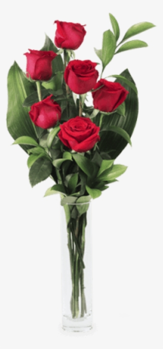 6 Rosas Rojas - Rosas Rojas #1012308