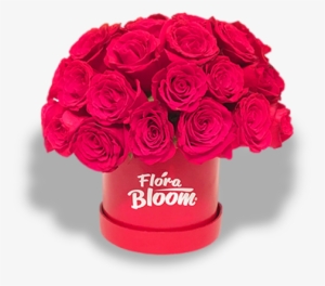 Caja 50 Rosas Rojas - Garden Roses #1012633