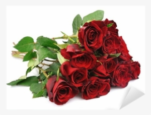 Смородина Красная #1012679