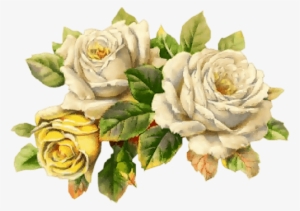 Convite Festa Tropical Aniversário #1012742