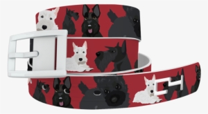 Tap To Expand - Belt #1013249