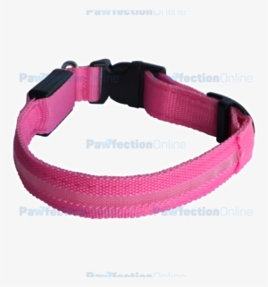 The Durable Nylon Pink Led Dog Collar Is Part Of The - Strap #1013446