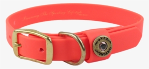 Water Dog Collar Blaze Orange - Dog Collar #1013493
