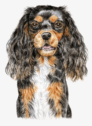 Ckc Spaniel Watercolour - King Charles Spaniel #1013633