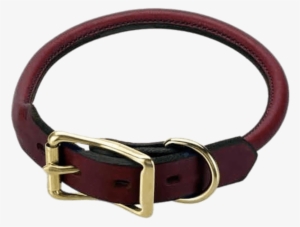 Miscellaneous - Rolled Leather Dog Collar Au #1013687