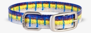 Blue Marlin - Dublin Dog Salt Water Series Dog Collar Blue Marlin, #1013756