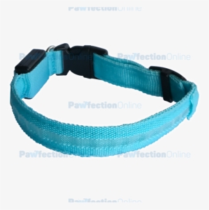 The Durable Nylon Blue Led Dog Collar Is Part Of The - Strap #1013776