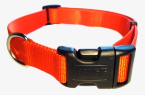 Nylon Dog Collar Plastic Clip - Plastic Clip Dog Collar #1013800