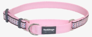 Martingale Reflective Bones Dog Collar #1013861