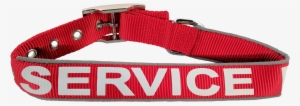 Service Dog Collar - Belt #1014033