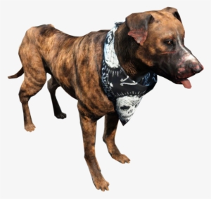 Fo4 Dog - Fallout 4 Raider Dog #1014083