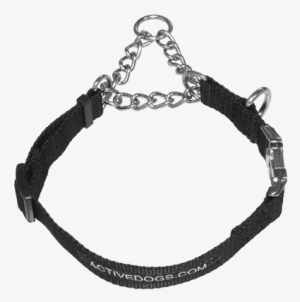 Martingale Dog Training Collar - Activedogs.com Martingale Training Dog Collar #1014166