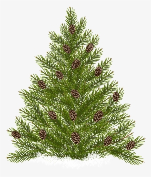 Pine Tree Transparent Png #1014264 Pine Tree Transparent Png #1014264