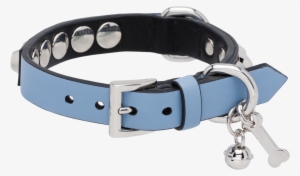 Prada Dog Collar #1014296
