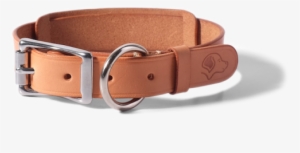 Dog Collar - Natural - Dog Collar #1014319