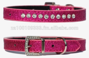 South Africa Dog Collar, South Africa Dog Collar Manufacturers - Dog Collar #1014355