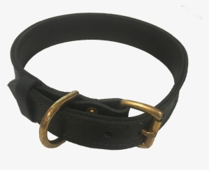 Ps575 - Leather Collar - 1 - 25" Price - $40 - - Belt Buckle #1014438