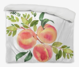 Branch With Peaches - Peach On Branch Illustration #1015187