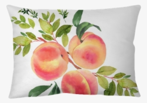 Branch With Peaches - Peach On Branch Illustration #1015212