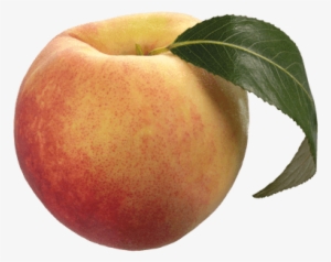 Peach Solo - Peach Png Clipart #1015240 Peach Solo - Peach Png Clipart #1015240