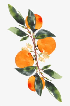 About - Watercolor Painting #1015491