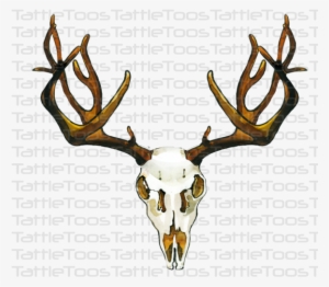 Printed Vinyl - Cafepress Boho Chic 5'x7'area Rug #1015598