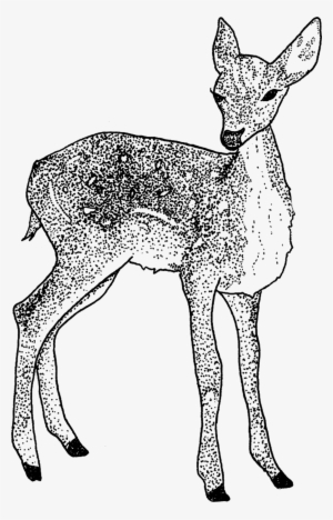 Tattly Doe Tea Leigh 00 V=1531507363 - Tattly #1015634