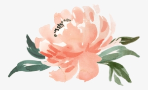 A Sneak Peek Into Our Lives - Protea #1015681