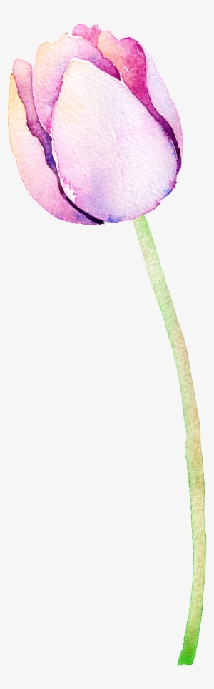 Purple Flower Hand Painted Watercolor Cartoon Transparent #1016037