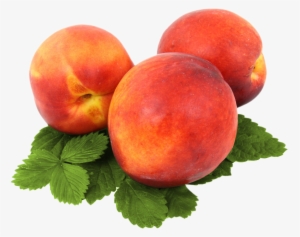 Leave A Reply Cancel Reply #1016066