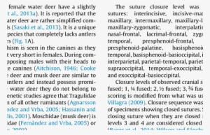 Upper - Document #1016160