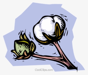 Cotton Plant Royalty Free Vector Clip Art Illustration - Cotton Plant Cartoon Drawing #1016313