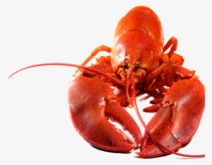 Lobster Png Transparent Image - Lobster Png #1017007