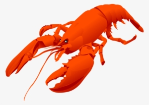Reef Pencil And In Color - Lobster Clipart Png #1017648