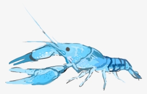 I Had A Pet Lobster - Tattoo #1017734