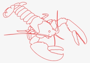 Lobster Free A Red Lobster Outline Wikiclipart Png - Lobster Clipart Outline #1017813