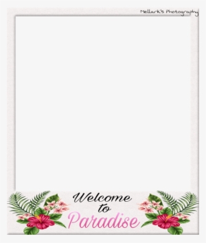 Wtp Polaroids Png #1018196