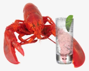 Lobster Download Transparent Png Image - Lobster Holding A Drink #1018238