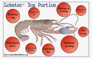 Lobster (png) - Antarctic Krill #1018723