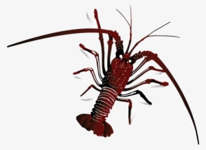 Latest News - News #1018775