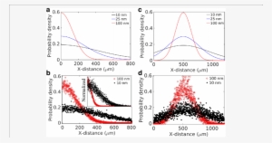 Particle Size Effects In A Cell-free System - Diagram #1019319