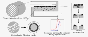 A New Model Has Been Developed To Describe The Size-dependent - Diagram #1019379