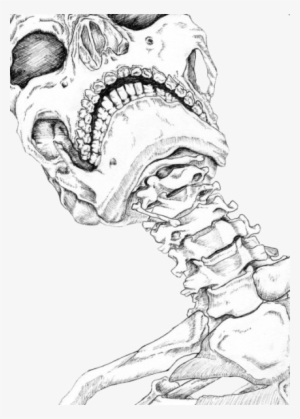 Explore Skeleton Drawings, Human Skeleton, And More - Human Neck Bone Drawing #1019625