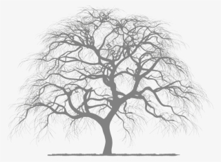 Trees Silhouette Png Transparent Trees Silhouette Png Image Free Download Pngkey