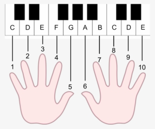 Musical Keyboard - Free Transparent PNG Download - PNGkey