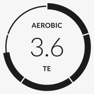 Training Effect - Aerobic - Circle #10101775