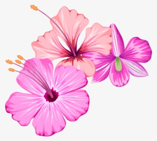 20+ Latest Transparent Bunch Of Flowers Png | Ritual Arte