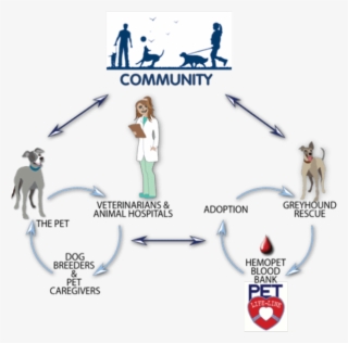 Hemopet Is A Full-service Facility Consisting Of An - Cartoon #10103783